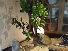 -良木缘咖啡西餐(新城市广场店)