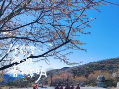 -妙峰山风景名胜区