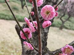 -渤公岛生态公园