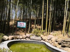 -江南天池高山汤泉城