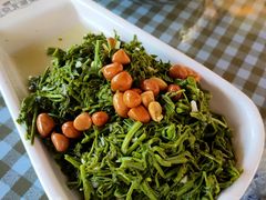 -京北渔家傲