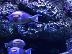 -成都浩海立方海洋公园