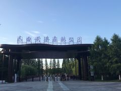 -黄海国家森林公园