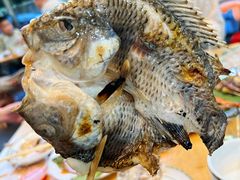 小罗非鱼-杨合林啊兰烤鱼