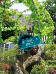-可可天空农场(中大店)
