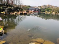 -白马涧龙池景区