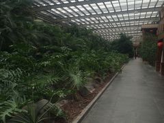 -龙达温泉生态城