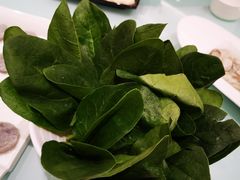 -龙福成肥牛火锅(文昌店)