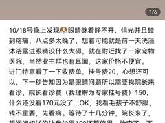 -哆趣宠物医院·眼科·内镜·急重症转诊中心(上海店)