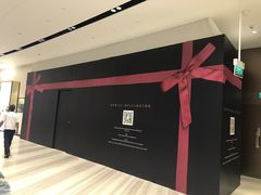 -樟宜机场免税店