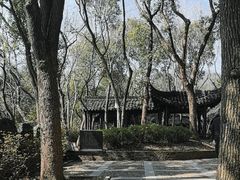 -上海佘山国家森林公园天马山园