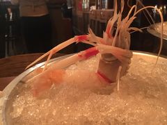 -斯普汇生蚝牛排馆(中骏世界城店)