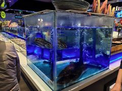 -SEA西雅图海鲜自助餐厅(海乐世界店)