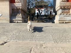 -普陀宗乘之庙(小布达拉宫)