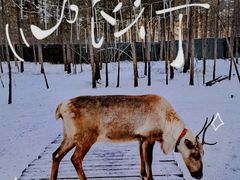 -北极村旅游风景区