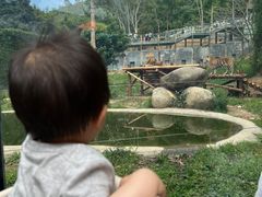 -泉州海丝野生动物世界