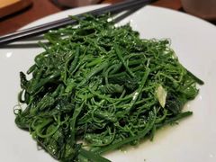 清炒丝瓜尖-福慧慈缘素食餐厅(王府井店)