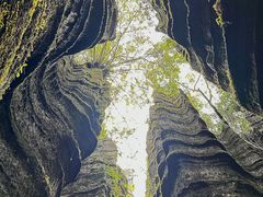 -梭布垭石林景区