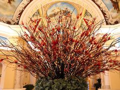 -重庆长寿碧桂园凤悦凤凰酒店