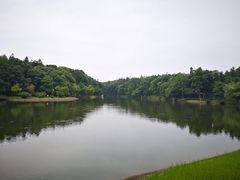 -象山森林公园