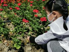 -广东花都香草世界旅游度假区