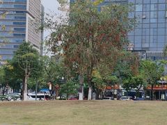 -东莞松山湖万象汇