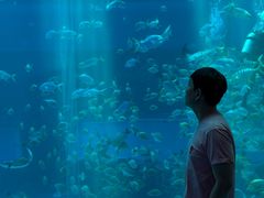 -南昌融创海世界