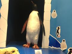 -多彩贵州城极地海洋世界