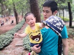 -铁山坪森林公园