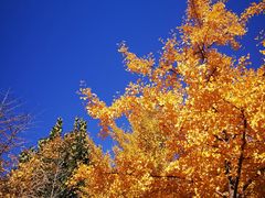 -北京西山国家森林公园