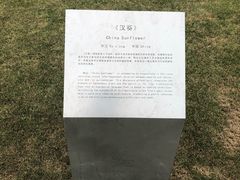 -活水公园