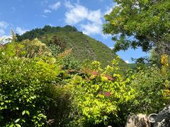 -麦积山温泉