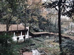 -岳麓山风景名胜区