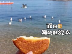-棒棰岛宾馆景区