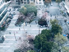 -Flow巴西柔术拳击泰拳馆