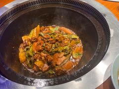 -挂雪铁锅炖大鹅