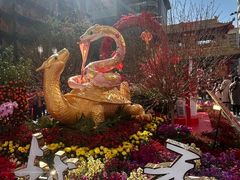-越秀西湖花市(广州城市广场花卉店)