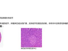 -上海市农业科学院动物（宠物）医院