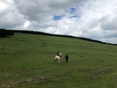 -塞罕坝国家级自然保护区