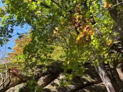 -五女峰国家森林公园