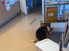 -瑞派·关忠动物医院(国瑞店)