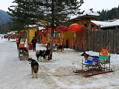 -亚布力新体委滑雪场