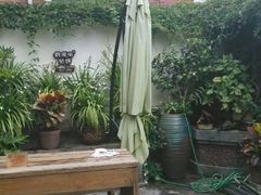 -鼓浪屿牌馅饼(博物馆店)