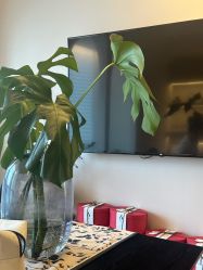 -栖SPA·ONDA ·海菲秀·皑皑科技美肤中心