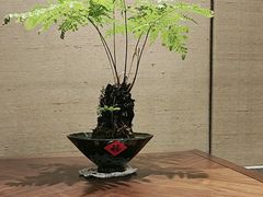 -太湖饭店·寄畅轩中餐厅