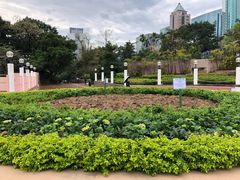 -九龙公园