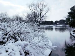 -荆川公园