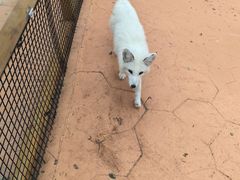 -南戴河国际娱乐中心