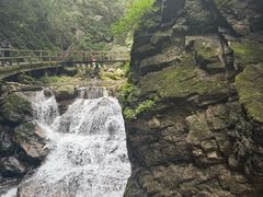 -牛背梁国家森林公园