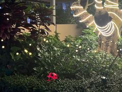 -喷泉广场餐厅·宵夜·海鲜烧烤大排档(长隆企鹅酒店)